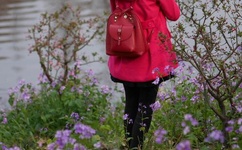 大宅院的女人下载